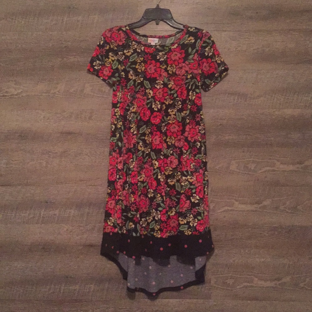 NWOT LuLaRoe Carly Dress